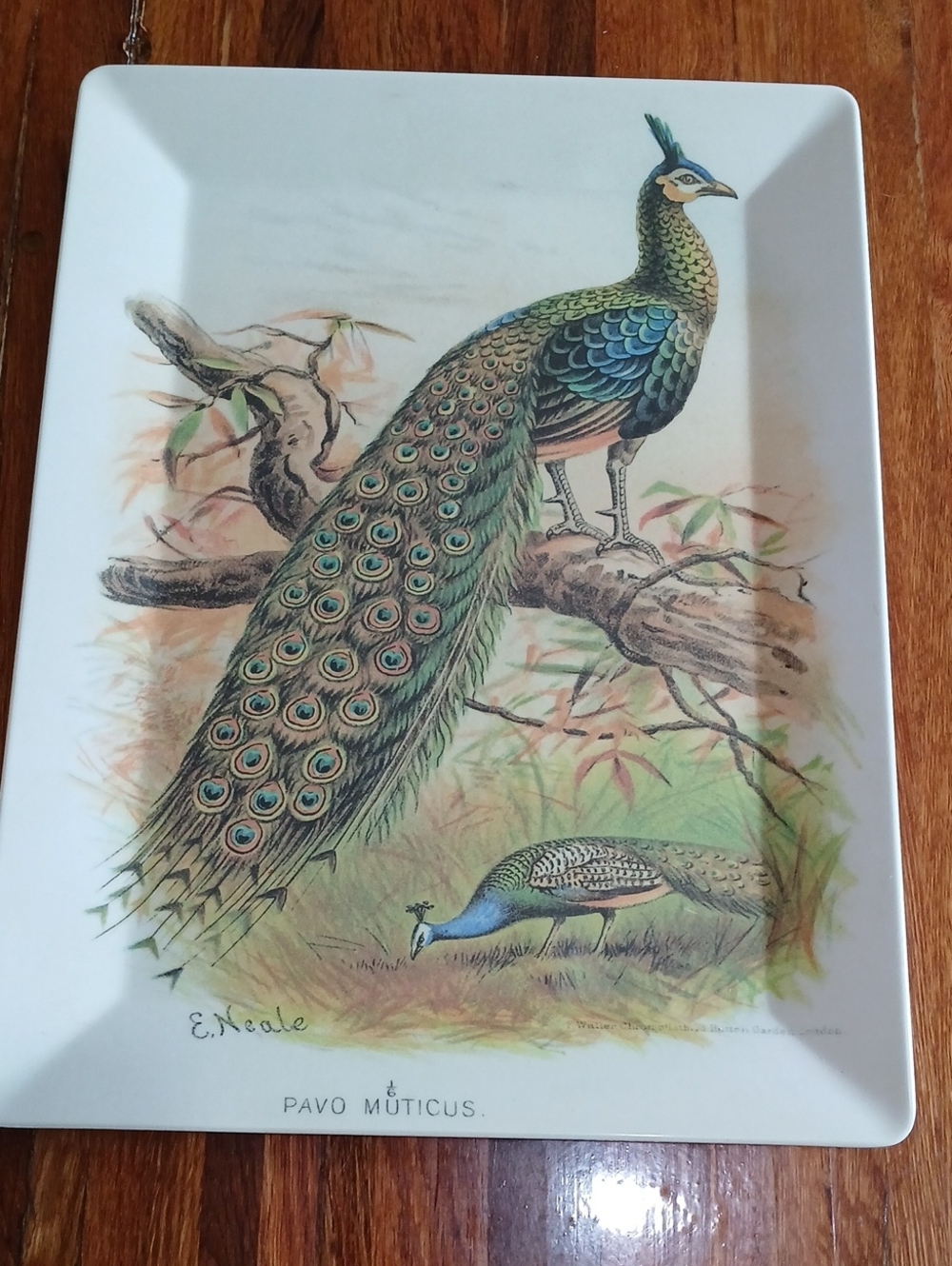Pottery Barn Peacock Melamine Tray
